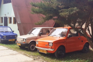 fiaciki w schronisku