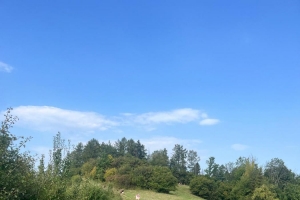 OBÓZ WĘDROWNY  W SCHRONISKU. - zdjęcie5