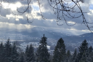 Z HARCERSKĄ ENERGIĄ W NOWY ROK - zdjęcie1